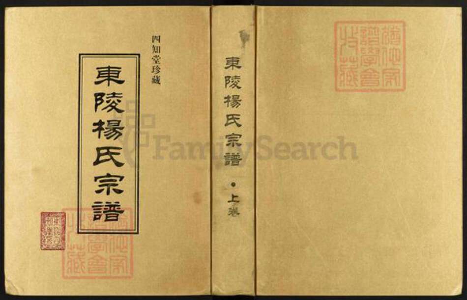 江苏省常州市溧阳市杨氏四知堂族谱-东陵杨氏宗谱.pdf电子版缩略图