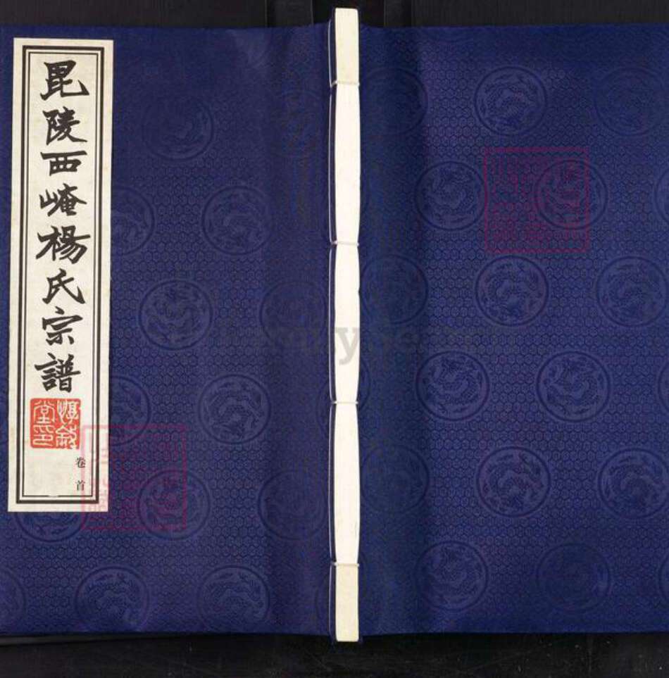 江苏省常州市武进县杨氏惇叙堂族谱-毘陵西崦杨氏宗谱.pdf电子版缩略图