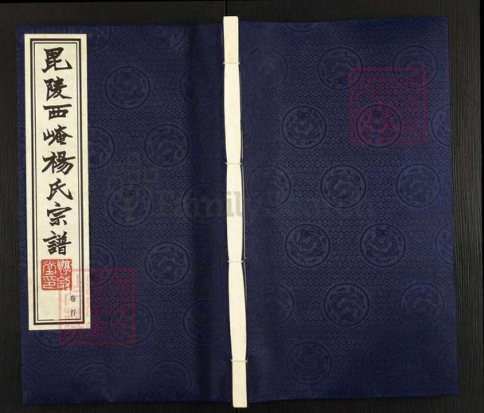 江苏省常州市武进县杨氏惇叙堂族谱-毘陵西崦杨氏族谱.pdf电子版缩略图