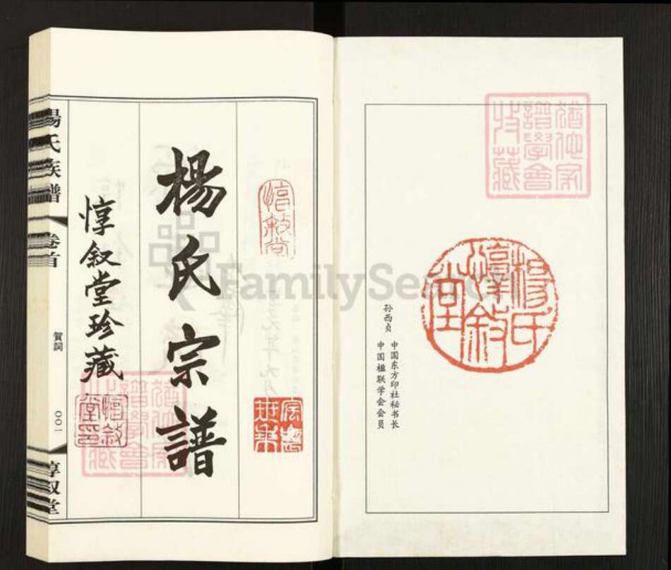 江苏省常州市武进县杨氏惇叙堂族谱-毘陵西崦杨氏族谱.pdf电子版预览图1