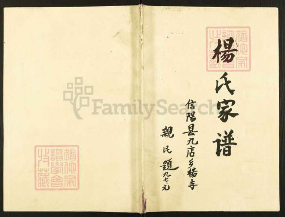 河南省信阳市平桥区杨氏族谱-杨氏家谱.pdf电子版缩略图