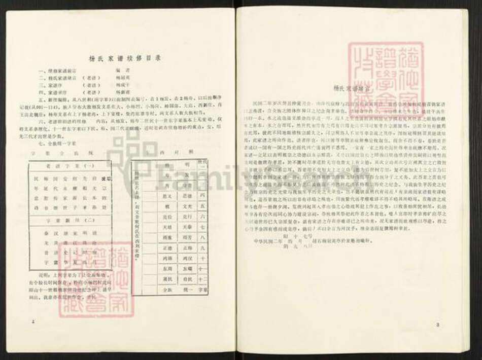 河南省信阳市平桥区杨氏族谱-杨氏家谱.pdf电子版预览图2