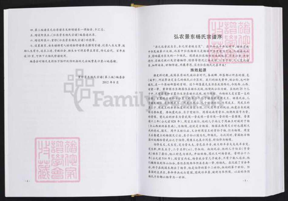 云南省普洱杨氏四知堂族谱-弘农景东杨氏宗谱.pdf电子版预览图3