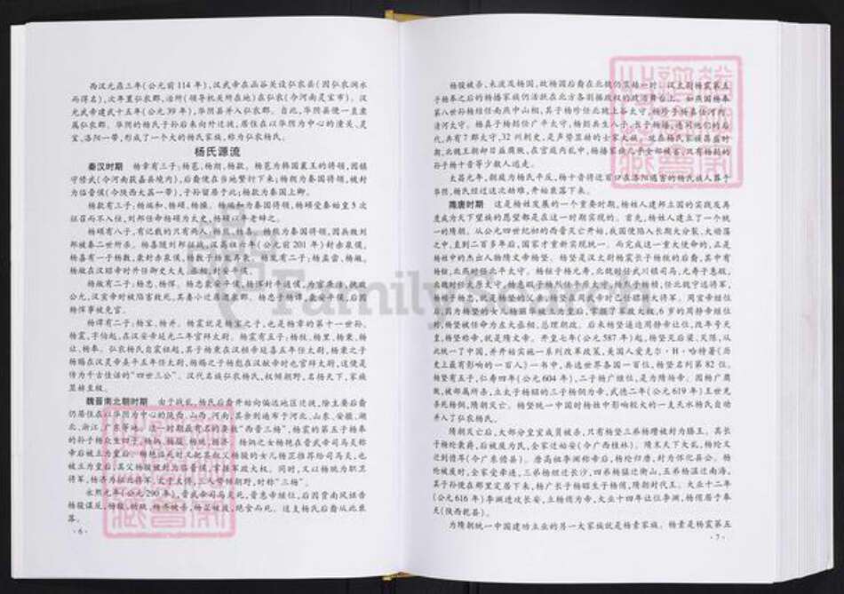 云南省普洱杨氏四知堂族谱-弘农景东杨氏宗谱.pdf电子版预览图4