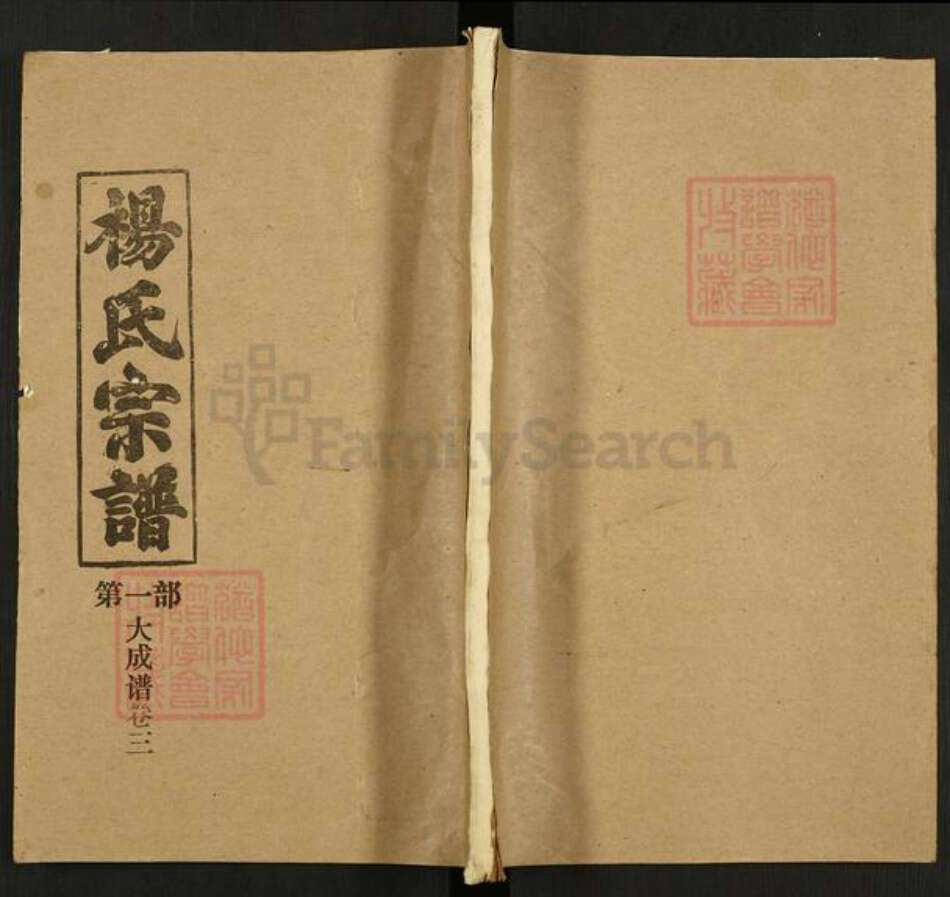 湖北省武汉市新洲区杨氏四知堂族谱-杨氏宗谱.pdf电子版缩略图