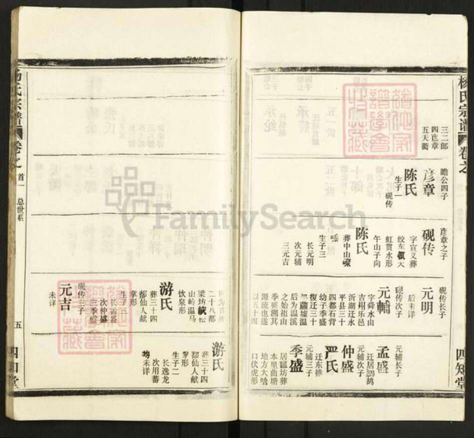 湖北省武汉市新洲区杨氏四知堂族谱-杨氏宗谱.pdf电子版预览图5