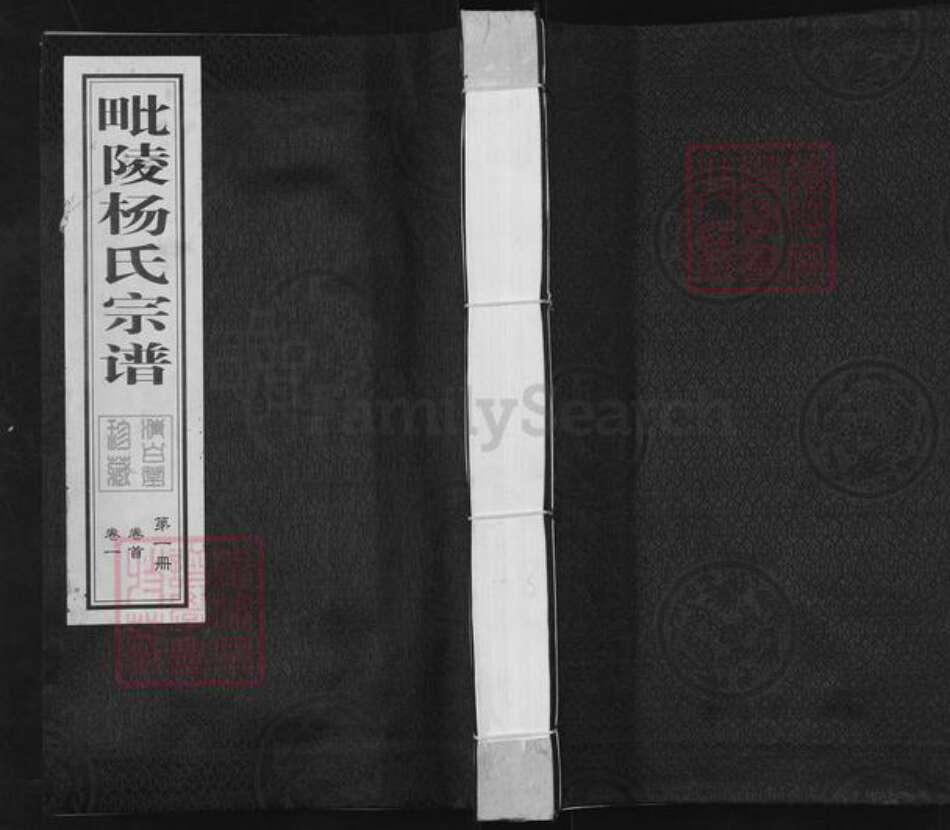 江苏省常州市天宁区杨氏清白堂族谱-毗陵杨氏宗谱.pdf电子版缩略图