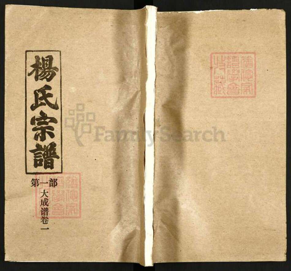 湖北省杨氏四知堂族谱-杨氏宗谱.pdf电子版缩略图