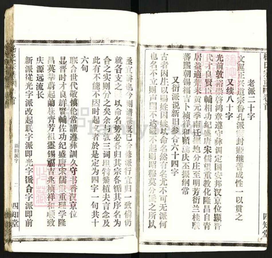 湖北省杨氏四知堂族谱-杨氏宗谱.pdf电子版预览图2