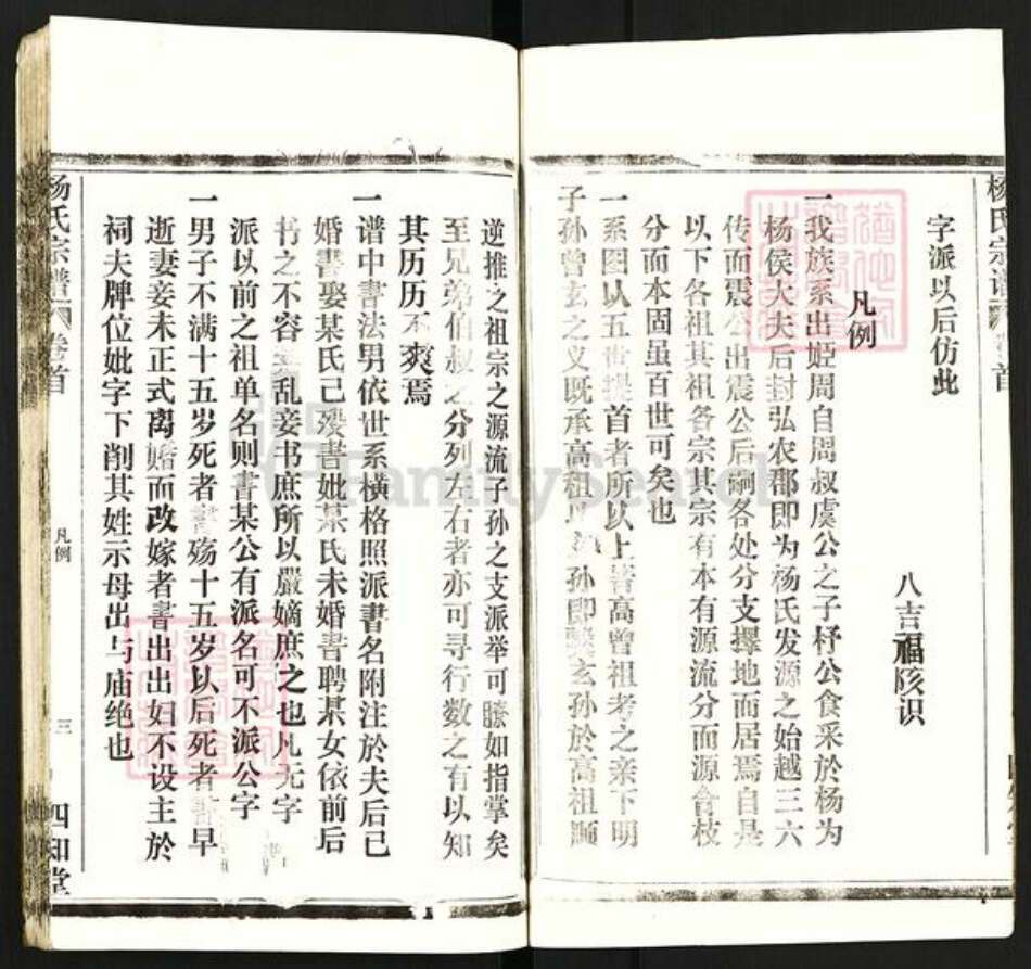 湖北省杨氏四知堂族谱-杨氏宗谱.pdf电子版预览图3