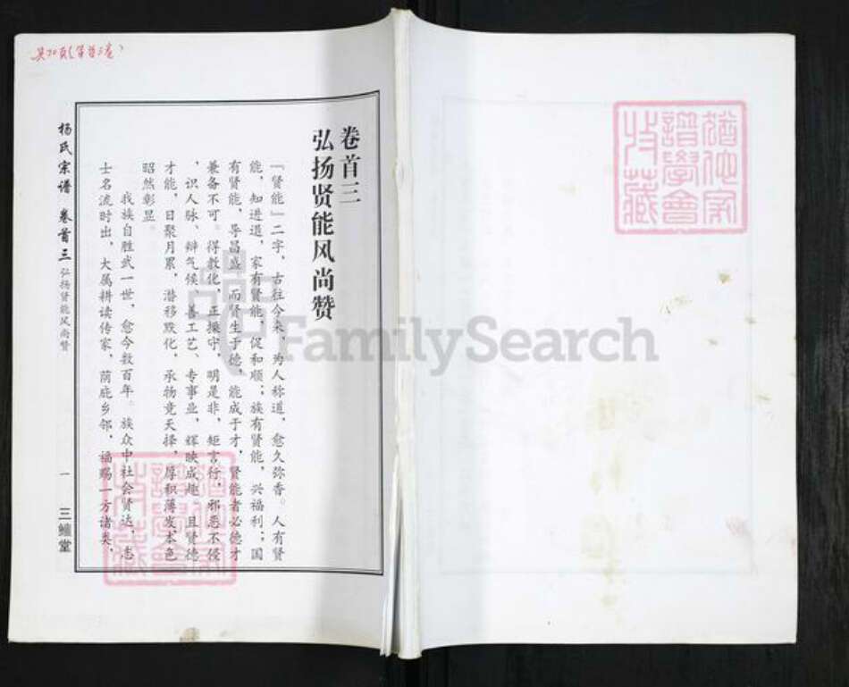 湖北省武汉市新洲区杨氏三鳣堂族谱-杨氏宗谱.pdf电子版缩略图