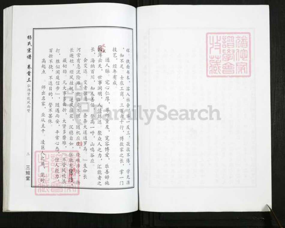 湖北省武汉市新洲区杨氏三鳣堂族谱-杨氏宗谱.pdf电子版预览图3