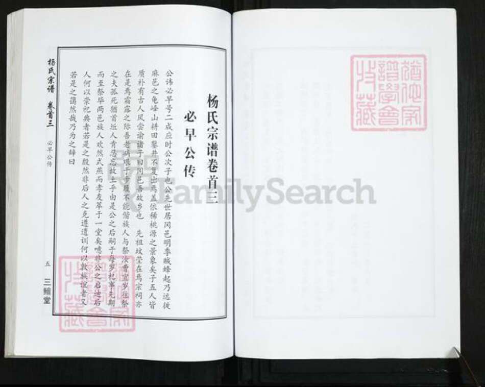 湖北省武汉市新洲区杨氏三鳣堂族谱-杨氏宗谱.pdf电子版预览图5