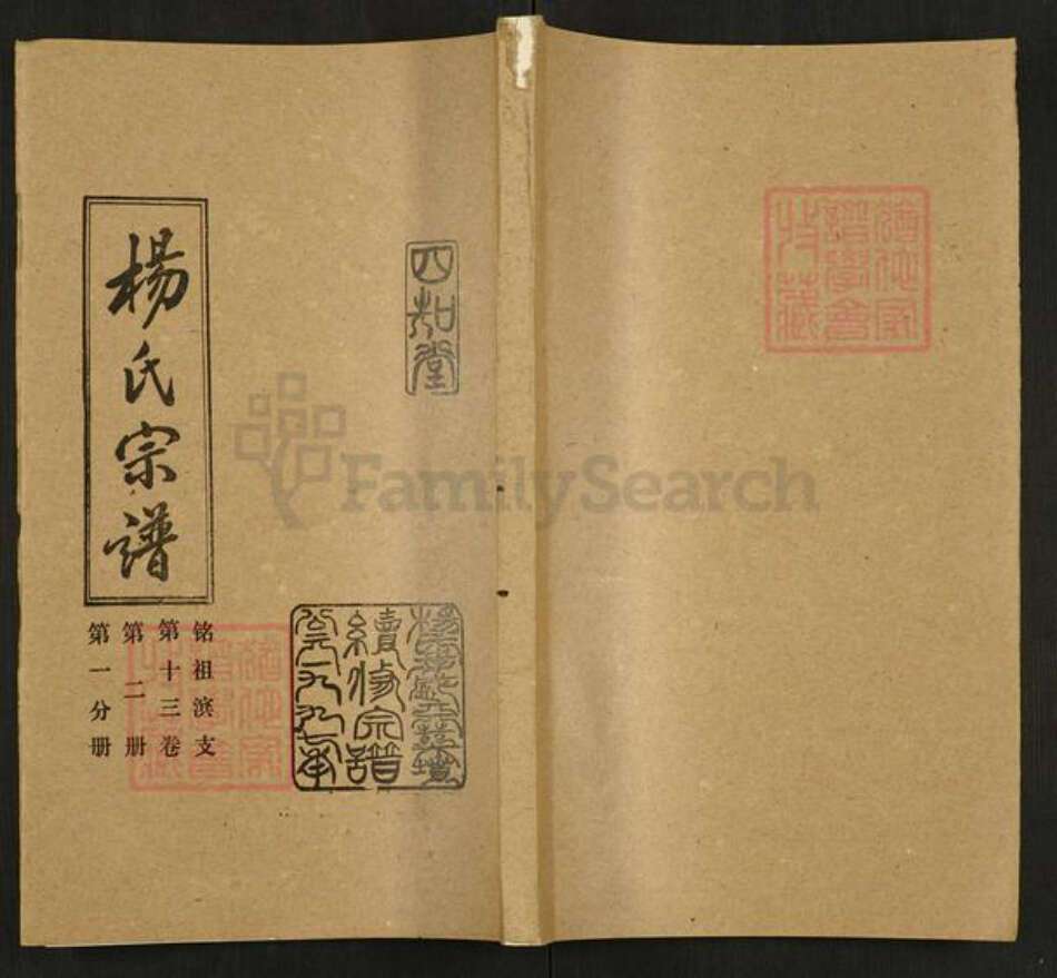 湖北省孝感市大悟县杨氏四知堂族谱-杨氏宗谱.pdf电子版缩略图