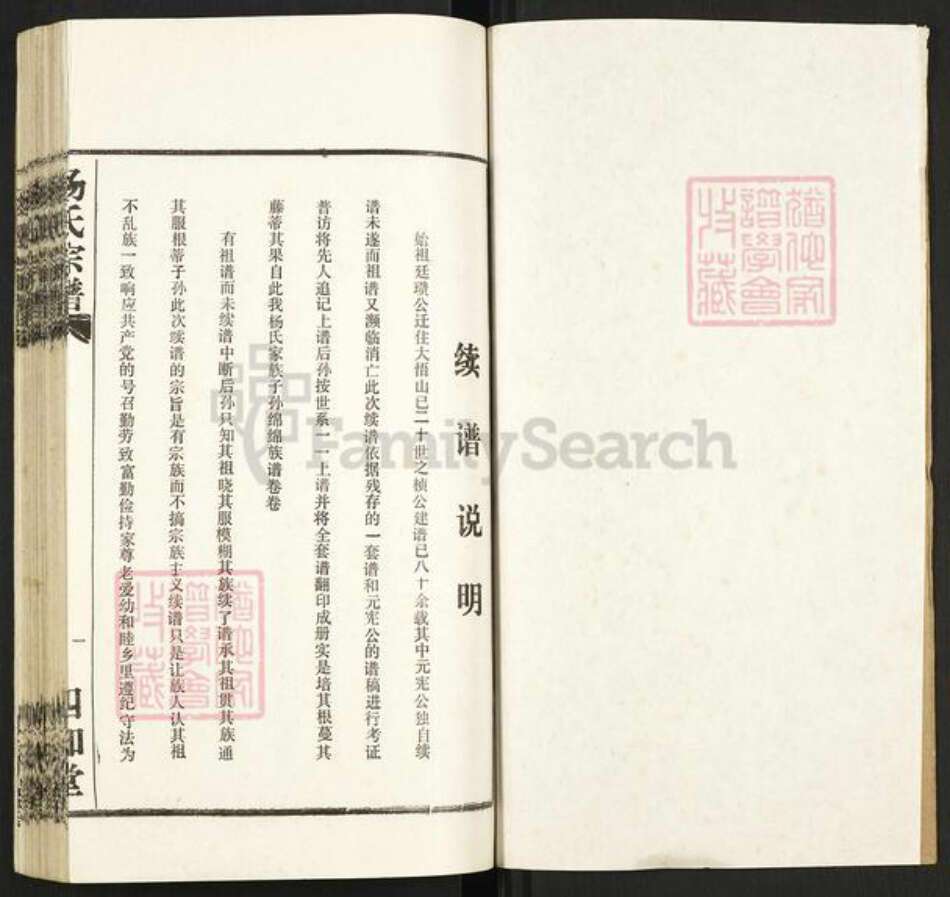 湖北省孝感市大悟县杨氏四知堂族谱-杨氏宗谱.pdf电子版预览图1