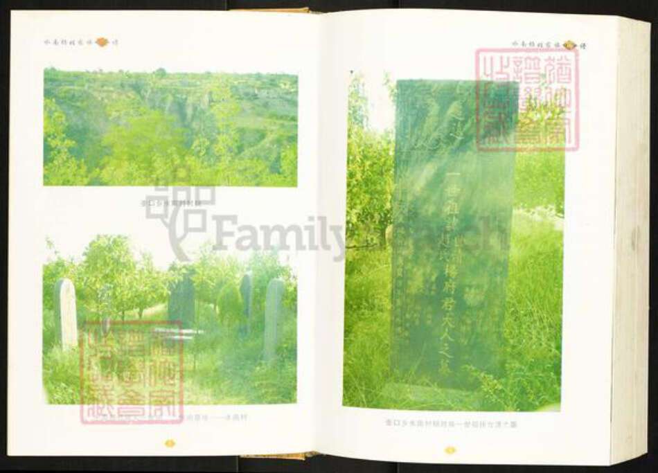 陕西省延安市宜川县杨氏族谱-水南杨姓家族家谱.pdf电子版预览图2