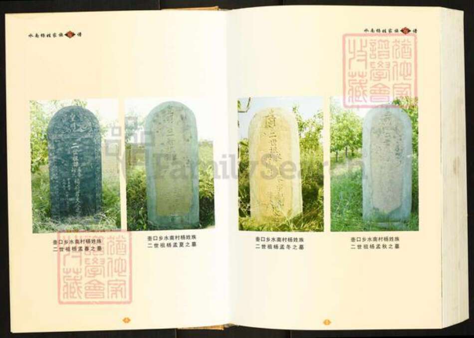 陕西省延安市宜川县杨氏族谱-水南杨姓家族家谱.pdf电子版预览图3