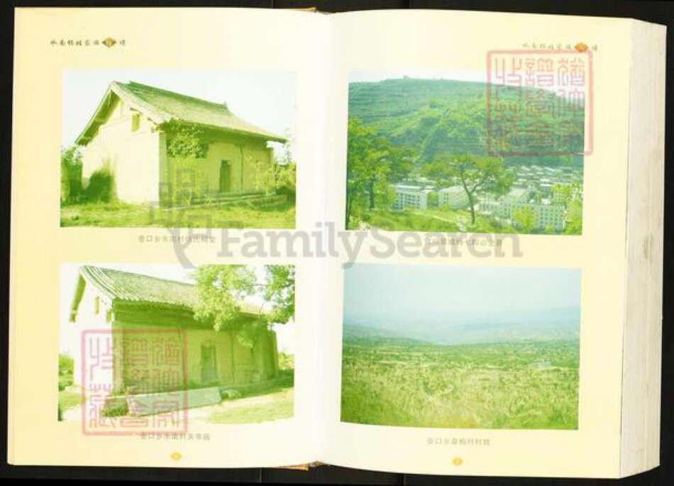 陕西省延安市宜川县杨氏族谱-水南杨姓家族家谱.pdf电子版预览图4