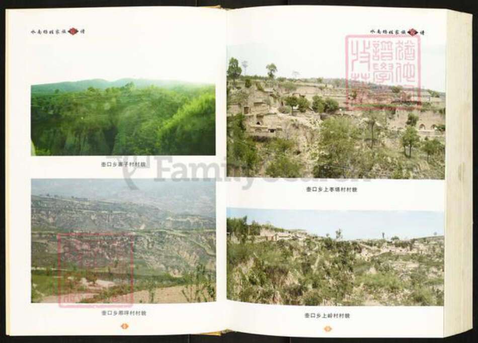 陕西省延安市宜川县杨氏族谱-水南杨姓家族家谱.pdf电子版预览图5