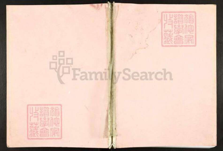 四川省广安市岳池县杨氏四知堂族谱-岳池县杨氏族谱.pdf电子版缩略图