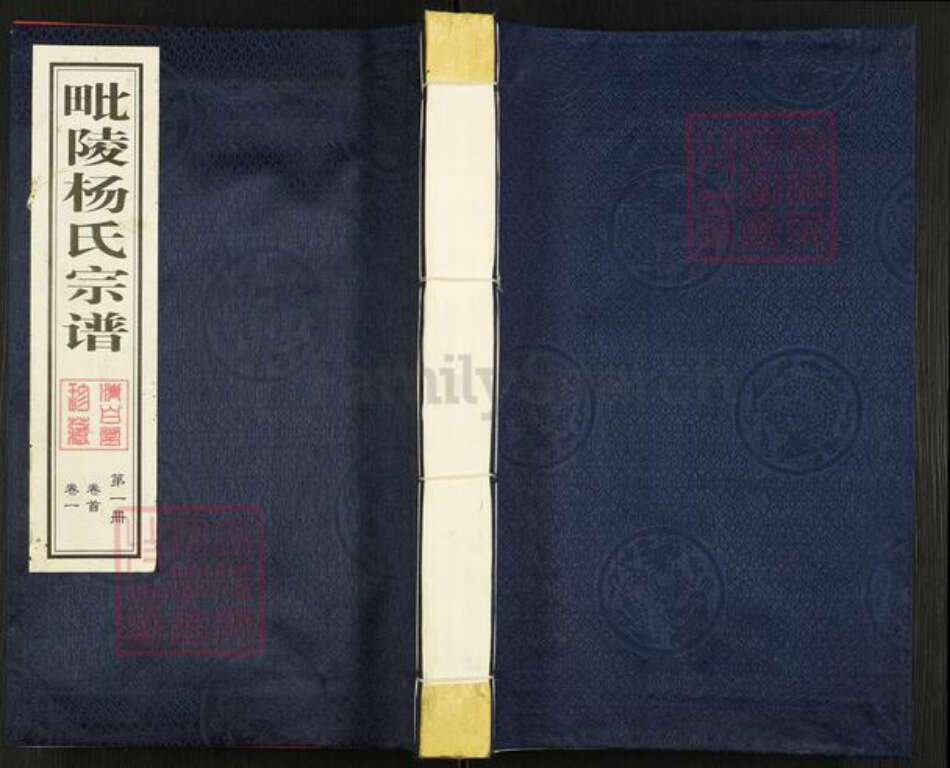 江苏省常州市天宁区天宁街道杨氏清白堂族谱-毗陵杨氏宗谱.pdf电子版缩略图