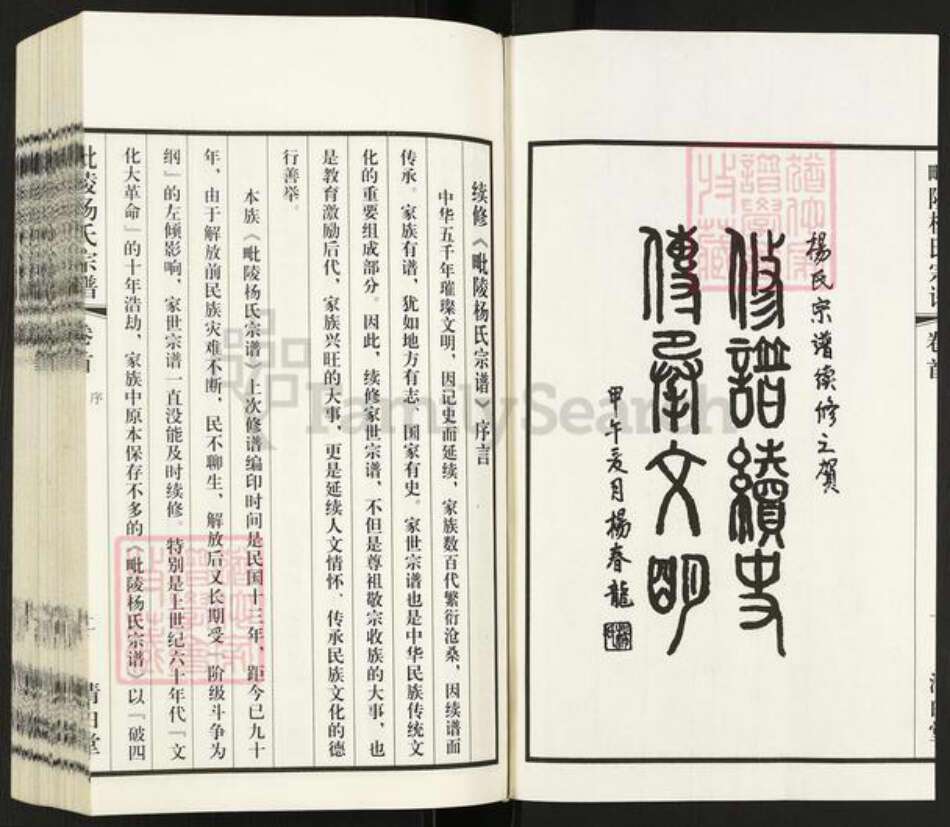 江苏省常州市天宁区天宁街道杨氏清白堂族谱-毗陵杨氏宗谱.pdf电子版预览图3