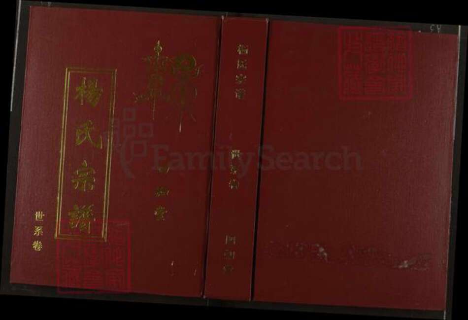 湖北省武汉市江汉区武汉杨氏四知堂族谱-杨氏宗谱.pdf电子版缩略图