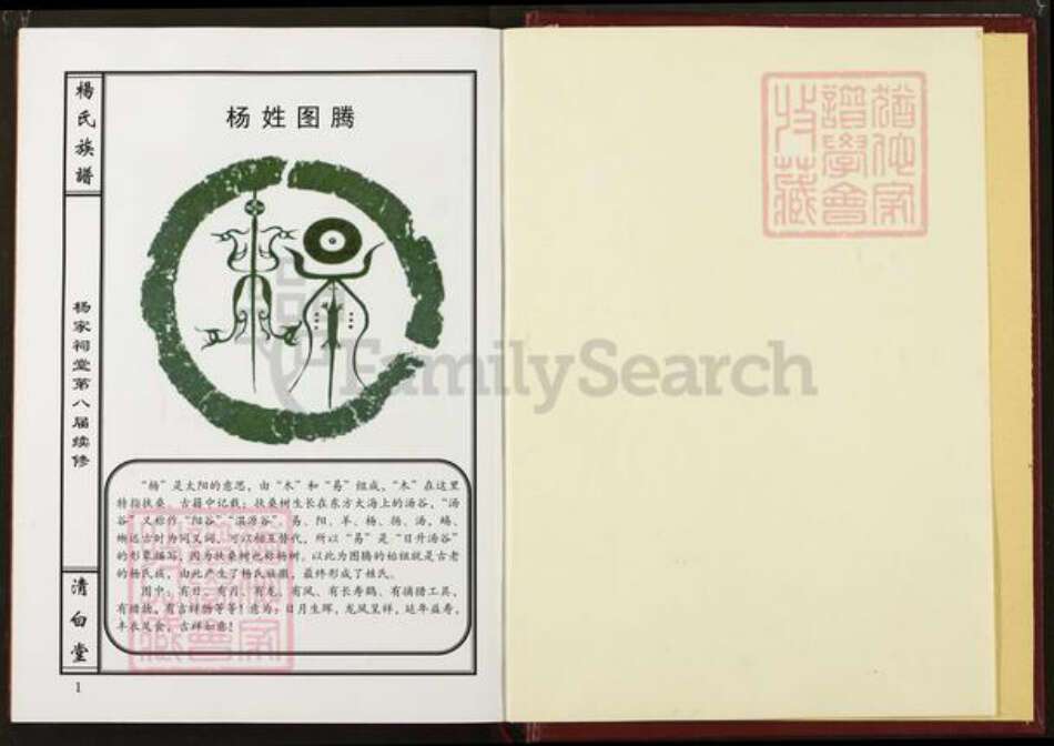 湖南省岳阳市杨氏清白堂族谱-弘农临湘杨氏宗谱.pdf电子版预览图1