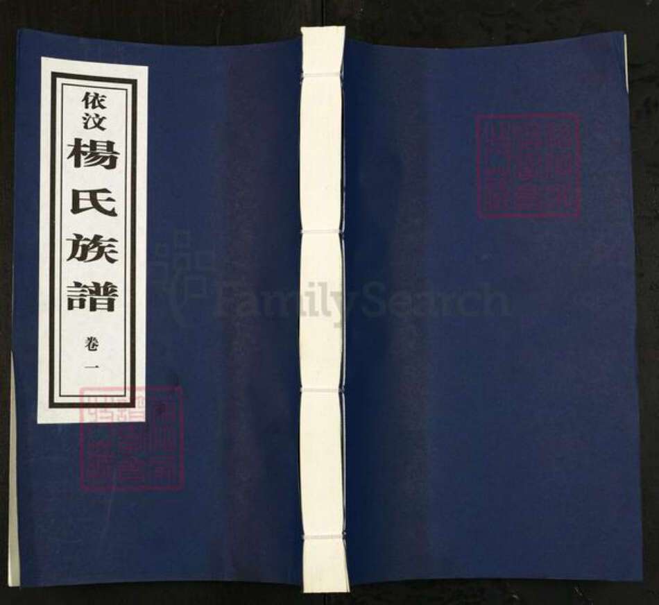 山东省临沂市沂南县依汶镇杨氏族谱-依汶杨氏族谱.pdf电子版缩略图