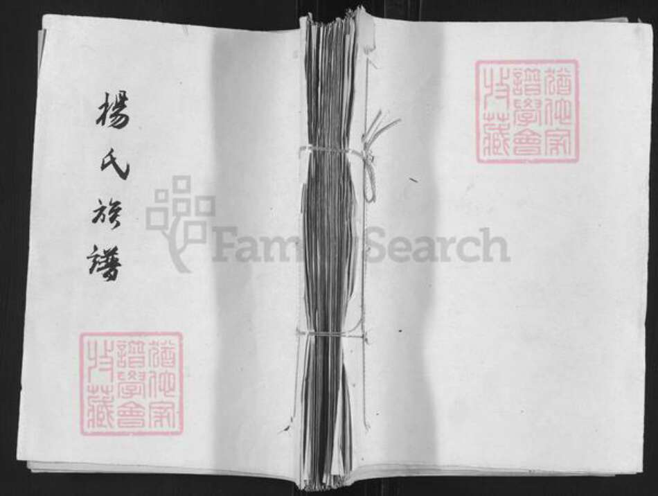 山东省济宁市嘉祥县万张街道杨氏族谱-杨氏族谱.pdf电子版缩略图