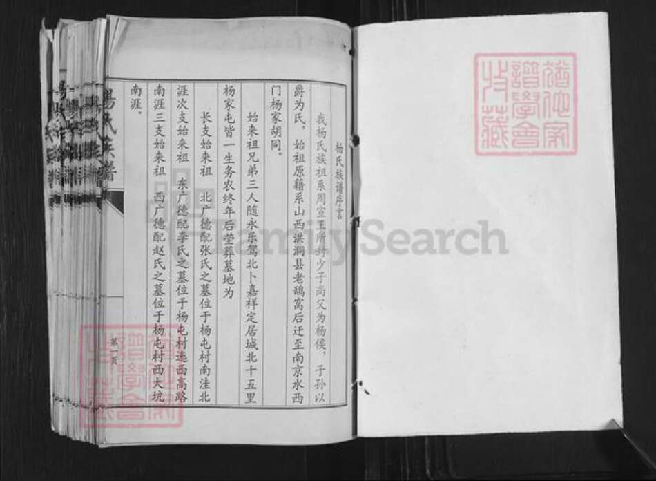 山东省济宁市嘉祥县万张街道杨氏族谱-杨氏族谱.pdf电子版预览图1