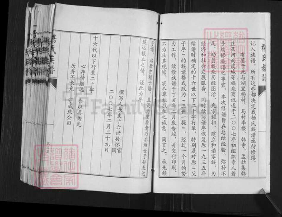 山东省济宁市嘉祥县万张街道杨氏族谱-杨氏族谱.pdf电子版预览图3