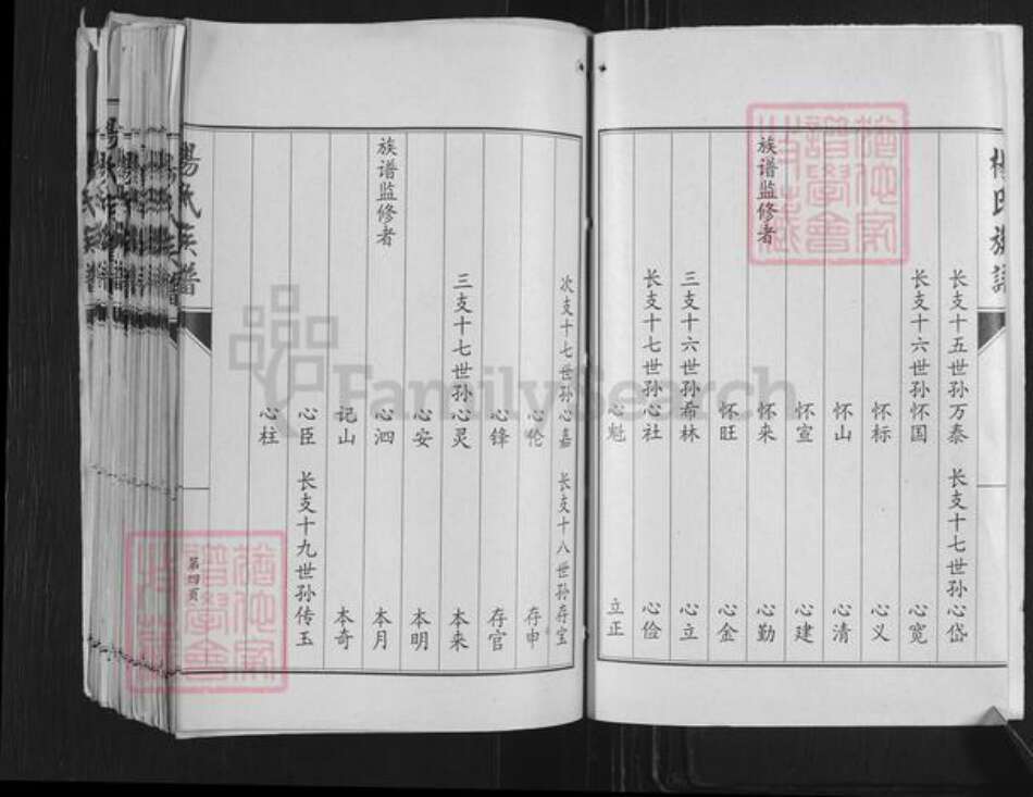 山东省济宁市嘉祥县万张街道杨氏族谱-杨氏族谱.pdf电子版预览图4