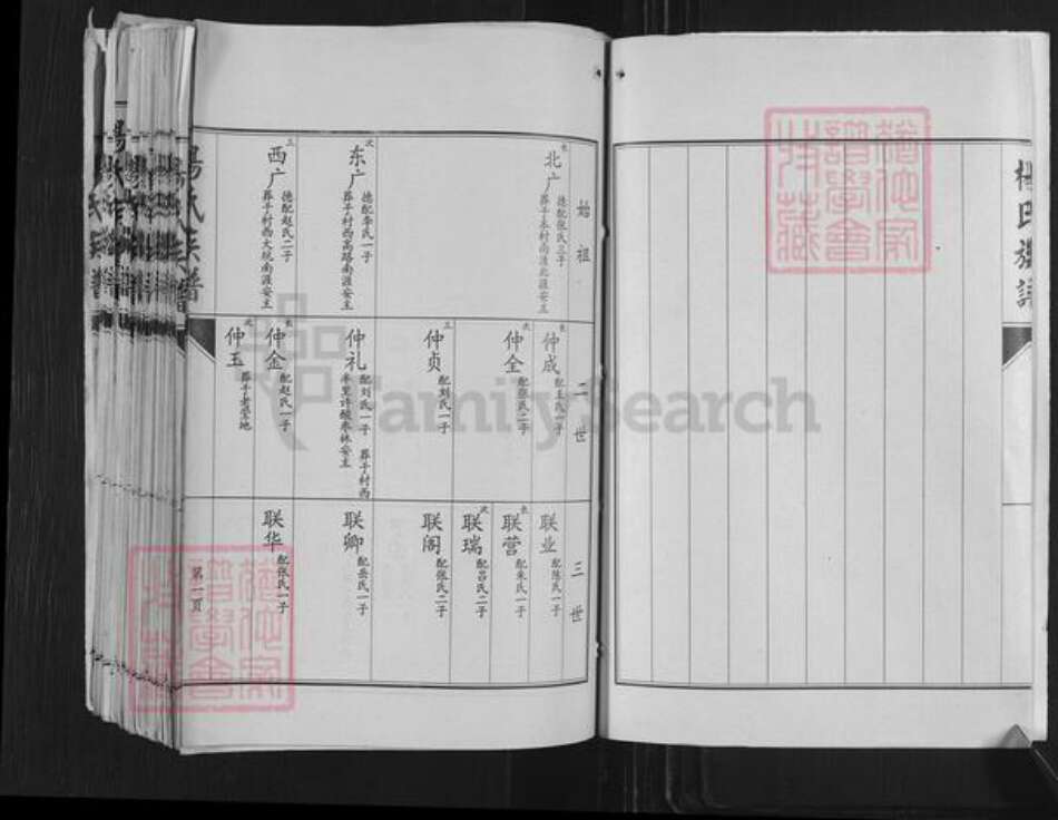 山东省济宁市嘉祥县万张街道杨氏族谱-杨氏族谱.pdf电子版预览图5