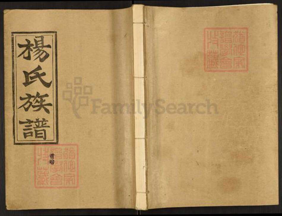 湖北省荆州市监利县杨氏四知堂族谱-杨氏族谱.pdf电子版缩略图