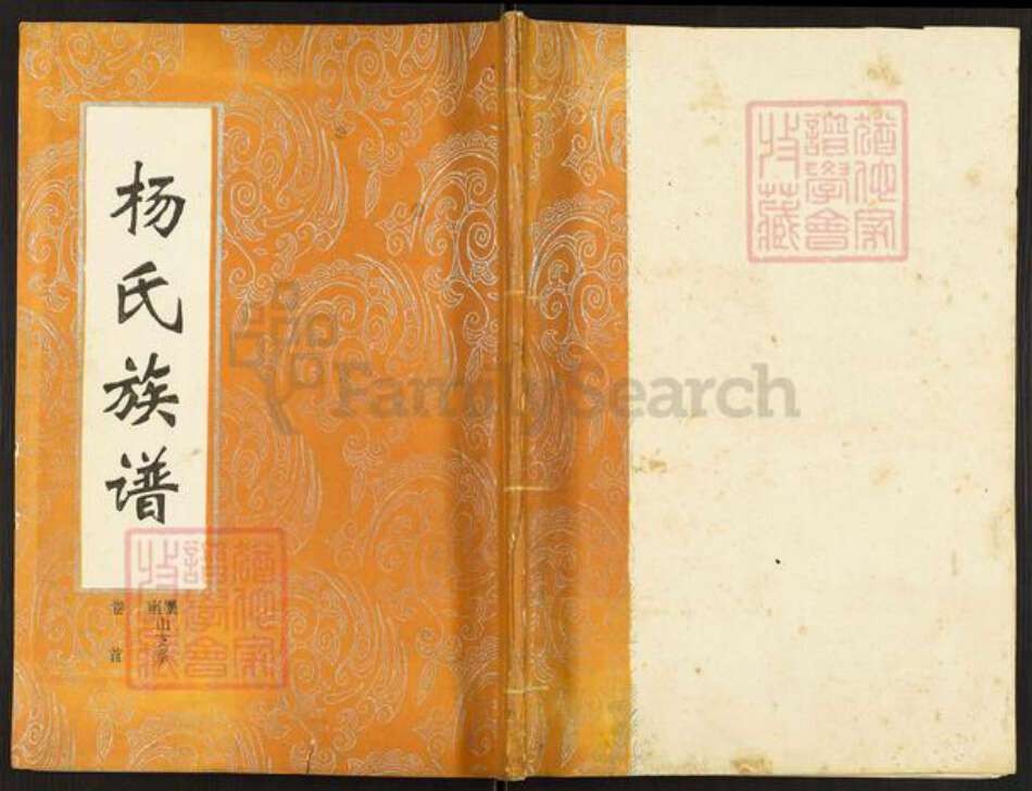 湖南省岳阳市华容县杨氏四知堂族谱-杨氏族谱.南墨山支系.pdf电子版缩略图