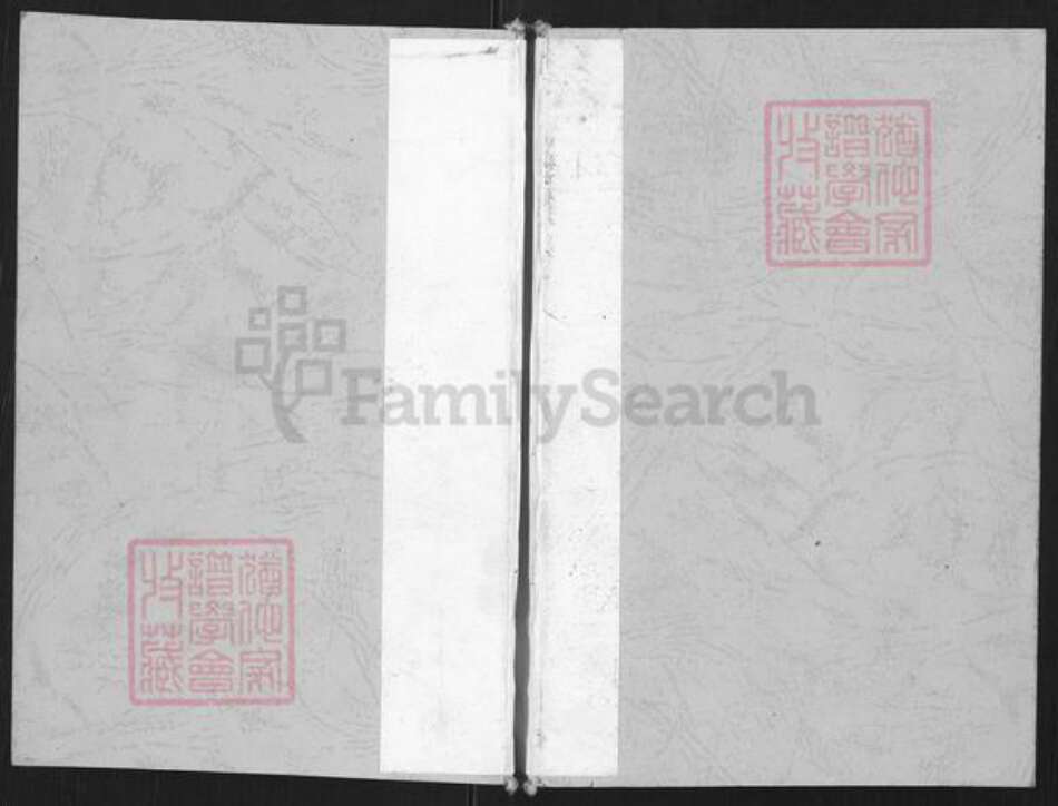 重庆市永川区双河口杨氏族谱-杨氏宗谱.pdf电子版缩略图