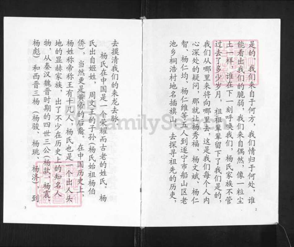 重庆市永川区双河口杨氏族谱-杨氏宗谱.pdf电子版预览图4