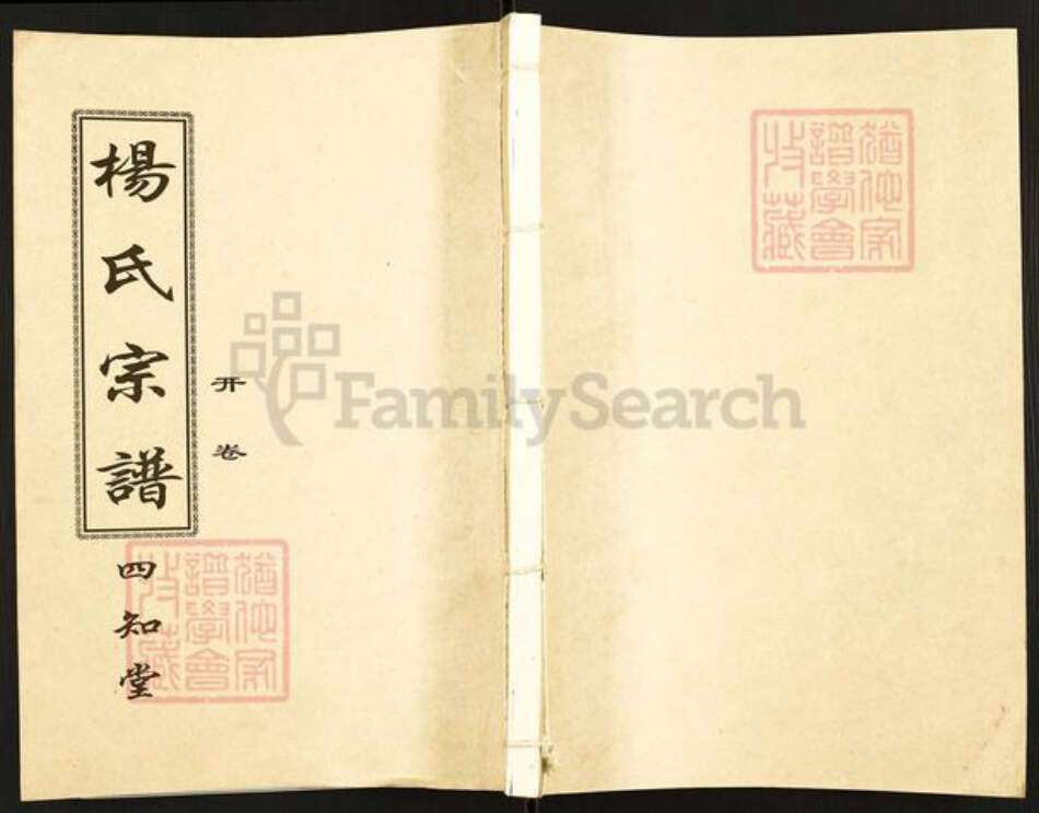 湖北省孝感市汉川市马口镇杨氏四知堂族谱-杨氏宗谱.pdf电子版缩略图