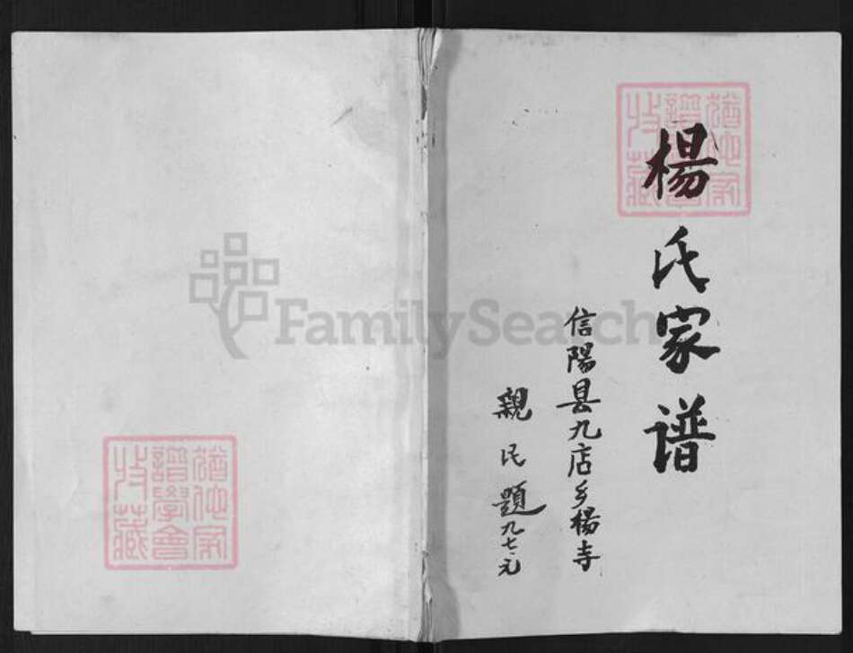 河南省信阳市杨氏族谱-杨氏家谱.pdf电子版缩略图