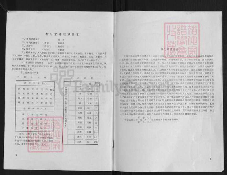 河南省信阳市杨氏族谱-杨氏家谱.pdf电子版预览图2
