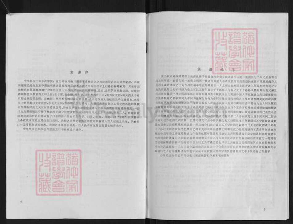 河南省信阳市杨氏族谱-杨氏家谱.pdf电子版预览图3