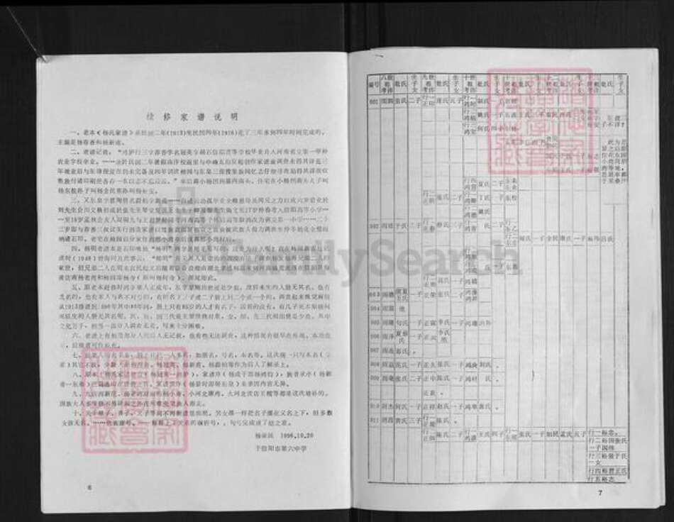 河南省信阳市杨氏族谱-杨氏家谱.pdf电子版预览图4