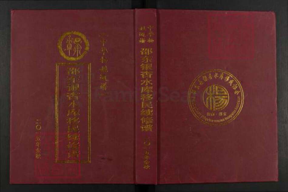 湖南省邵阳市邵东市杨氏族谱-中华杨姓通谱.邵东银杏水库移民续修谱.pdf电子版缩略图