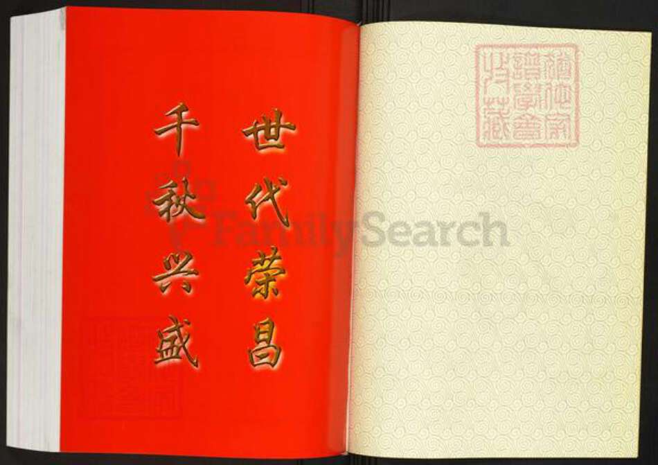 湖南省邵阳市邵东市杨氏族谱-中华杨姓通谱.邵东银杏水库移民续修谱.pdf电子版预览图3