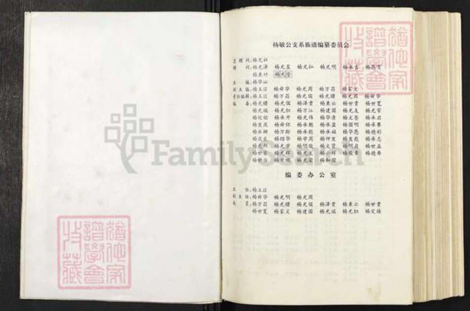 云南省曲靖市宣威市杨氏四知堂族谱-杨敏公支系族谱.pdf电子版预览图4