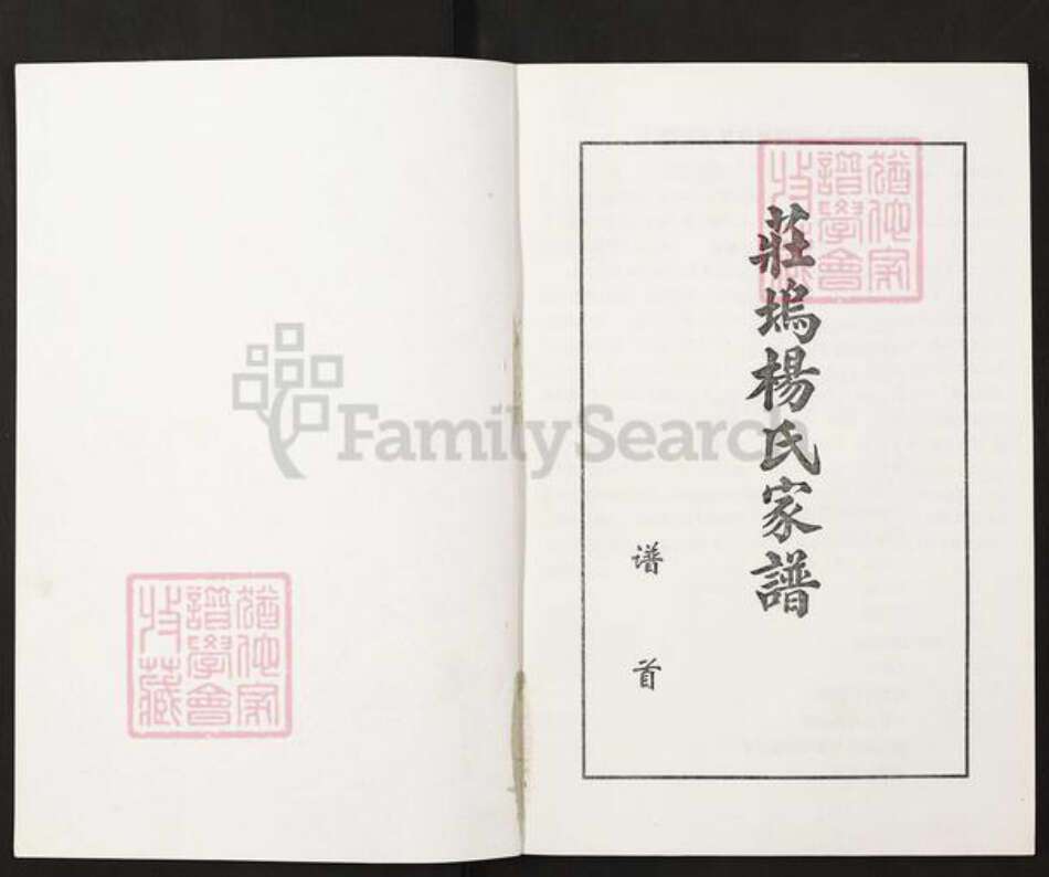 山东省临沂市兰陵县庄坞镇山东省济宁市梁山县杨；杨氏族谱-庄坞杨氏家谱.pdf电子版预览图1