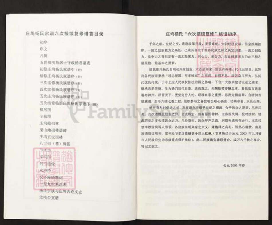 山东省临沂市兰陵县庄坞镇山东省济宁市梁山县杨；杨氏族谱-庄坞杨氏家谱.pdf电子版预览图2