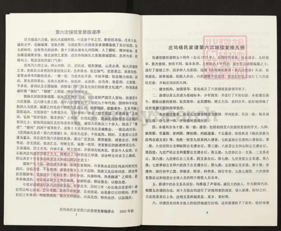 山东省临沂市兰陵县庄坞镇山东省济宁市梁山县杨；杨氏族谱-庄坞杨氏家谱.pdf电子版预览图3