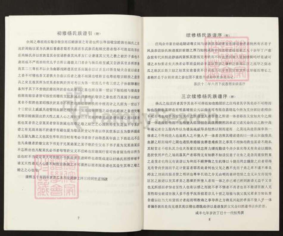 山东省临沂市兰陵县庄坞镇山东省济宁市梁山县杨；杨氏族谱-庄坞杨氏家谱.pdf电子版预览图5